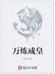 許安奈宋淮煜封面