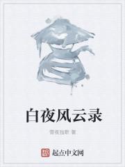 夫人太美小說封面