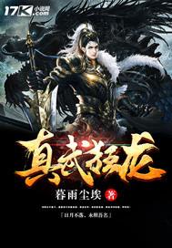 真武狂龍封面