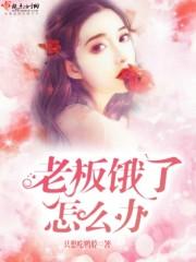 最后的灰燼之舞封面