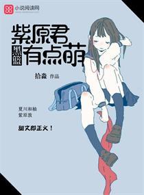 溫司言許歆淺封面