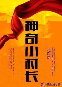 大時(shí)代之重回2000小說(shuō)封面