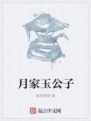 如見初識(shí)小說封面