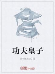 玩轉(zhuǎn)大明封面