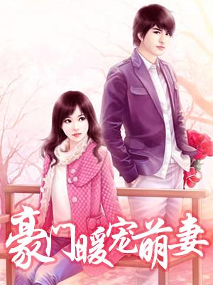 震世九州小說閱讀封面