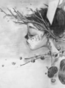 三兒小慧爆款封面