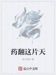 宋清漪沈言之大結(jié)局封面