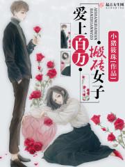 愛(ài)上百萬(wàn)搬磚女子封面