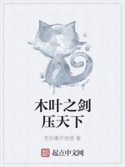 木葉之劍壓天下封面