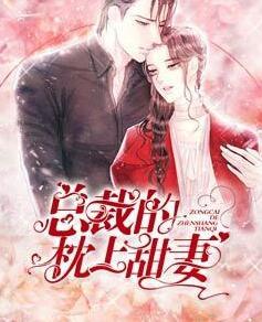 安盛夏權耀封面