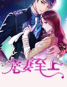 寵妻至上封面