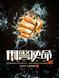 刑警使命封面