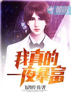 我真的一夜暴富封面