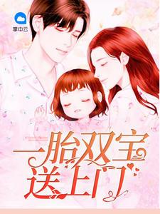 一胎雙寶送上門封面