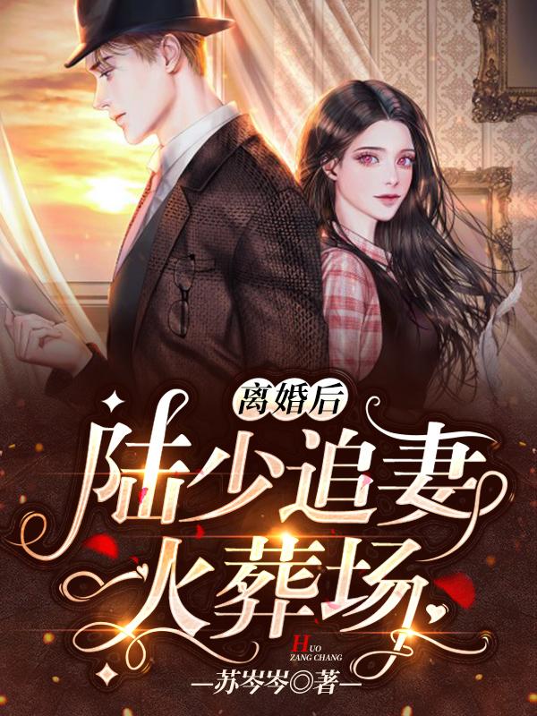 岑音陸霆煜封面