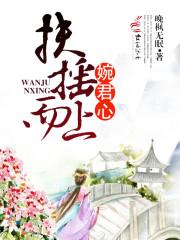 扶搖而上婉君心封面