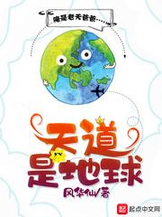 試探驗(yàn)證封面