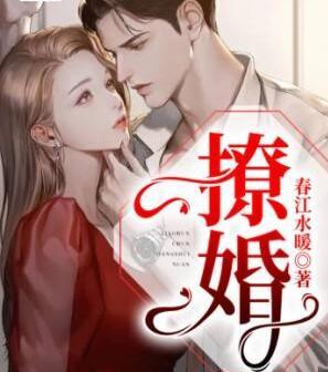 撩婚封面