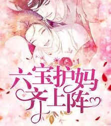 沈瀟瀟顧庭霄封面