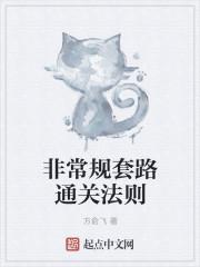 愿以此心寄明月封面