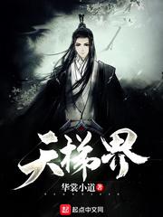 盛辭傅容珩封面