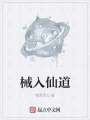 牡丹與偏執(zhí)小說(shuō)封面