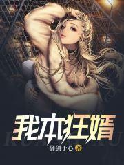 我本狂婿封面