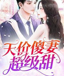 藍(lán)淺淺傅景深封面