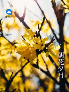 傾朝野：小國(guó)師他嗜我如命封面