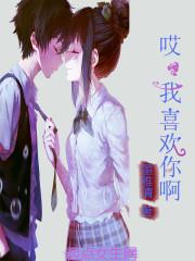 童昭宴非白小說封面