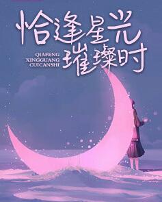恰逢星光璀璨時(shí)封面
