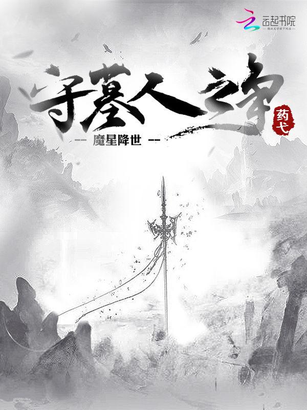 恰似君風(fēng)流小說(shuō)封面