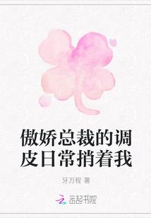 沈南曦蕭靖延小說(shuō)封面