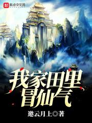 重生：風(fēng)起2000（陸青云林若嵐）封面