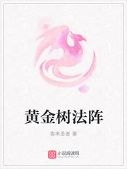 別踩規(guī)則小說封面