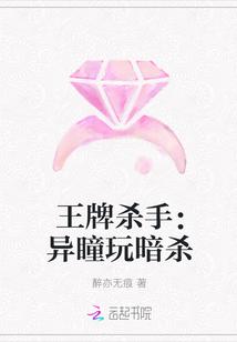 盛晨晨傅照鳴封面