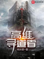 高維尋道者封面