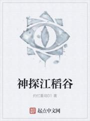 沈枝季夜鳴封面