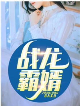 戰(zhàn)龍霸婿封面