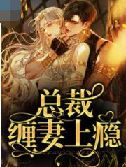 總裁纏妻上癮封面