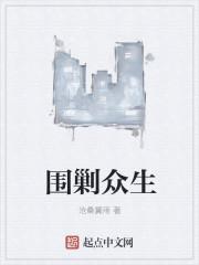 空軍王者：蘇修封面