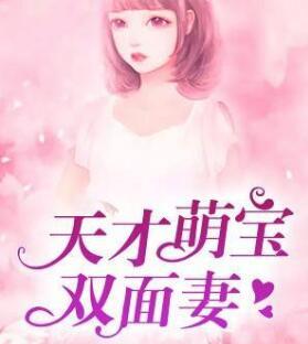 我的戰(zhàn)機是洞天法寶封面