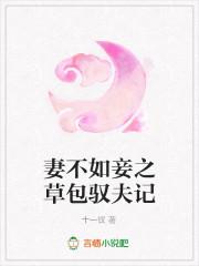 容璟霓裳小說(shuō)封面