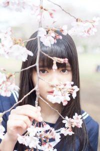 最強(qiáng)反套路系統(tǒng)封面