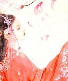 神醫(yī)小毒后慕卿九封面