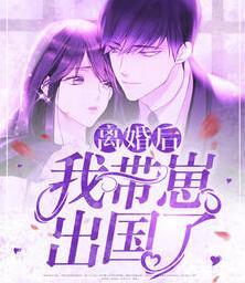 離婚后我懷了三個(gè)小祖宗小說(shuō)封面