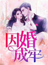 因婚成牢封面