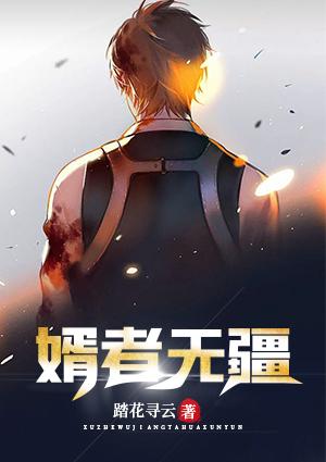 婿者無(wú)疆封面