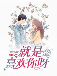 就是喜歡你呀封面