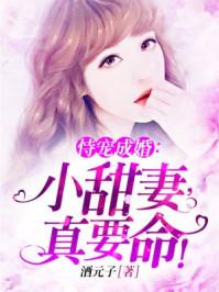 墜落有缺陷:辛玉辛藤封面